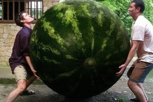 Kraken оригинальные зеркала