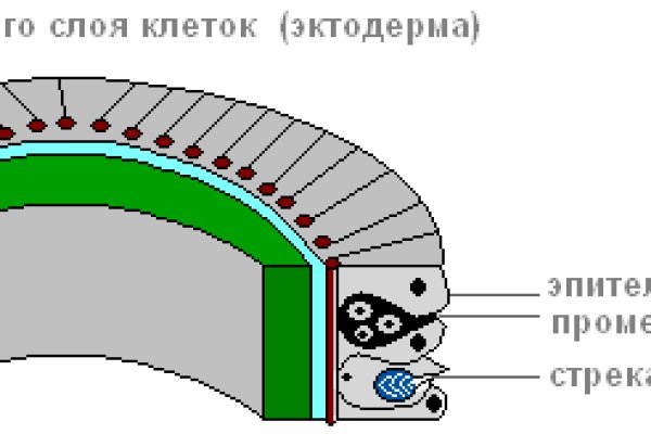 Kraken 13 at сайт