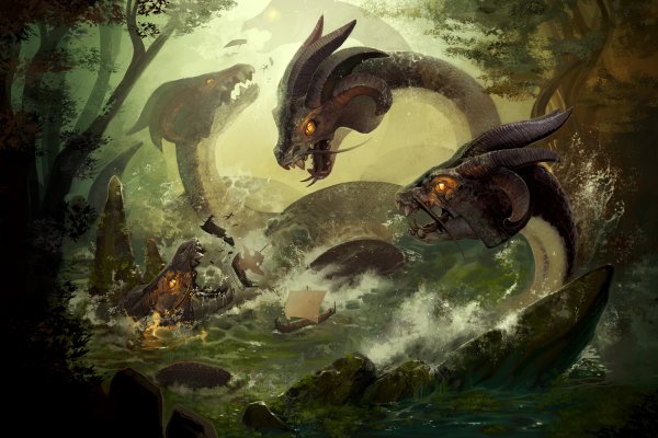 Kraken kraken link24 info