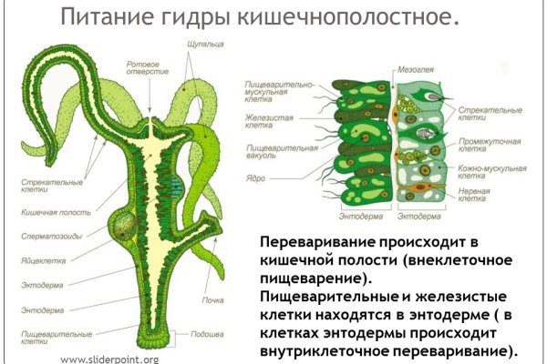 Как восстановить аккаунт на кракене даркнет