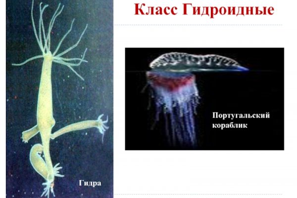 Кракен рабочее зеркало krmp.cc