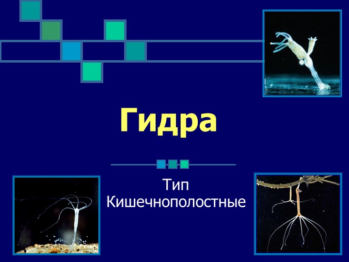 Актуальная ссылка на kraken kra.mp