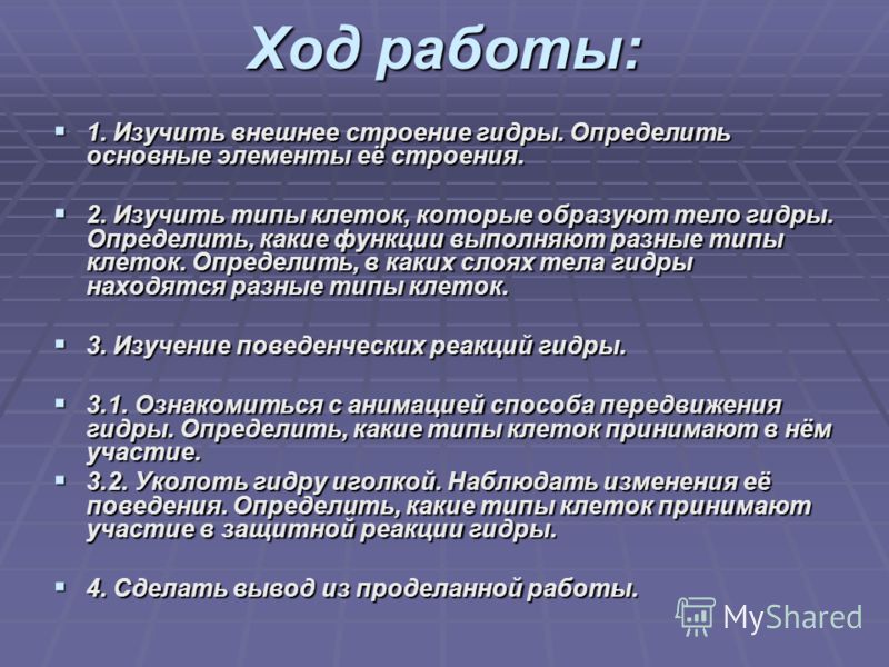 Сайт hydra отзывы