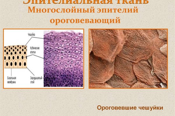 Рабочее зеркало крамп санкт петербург